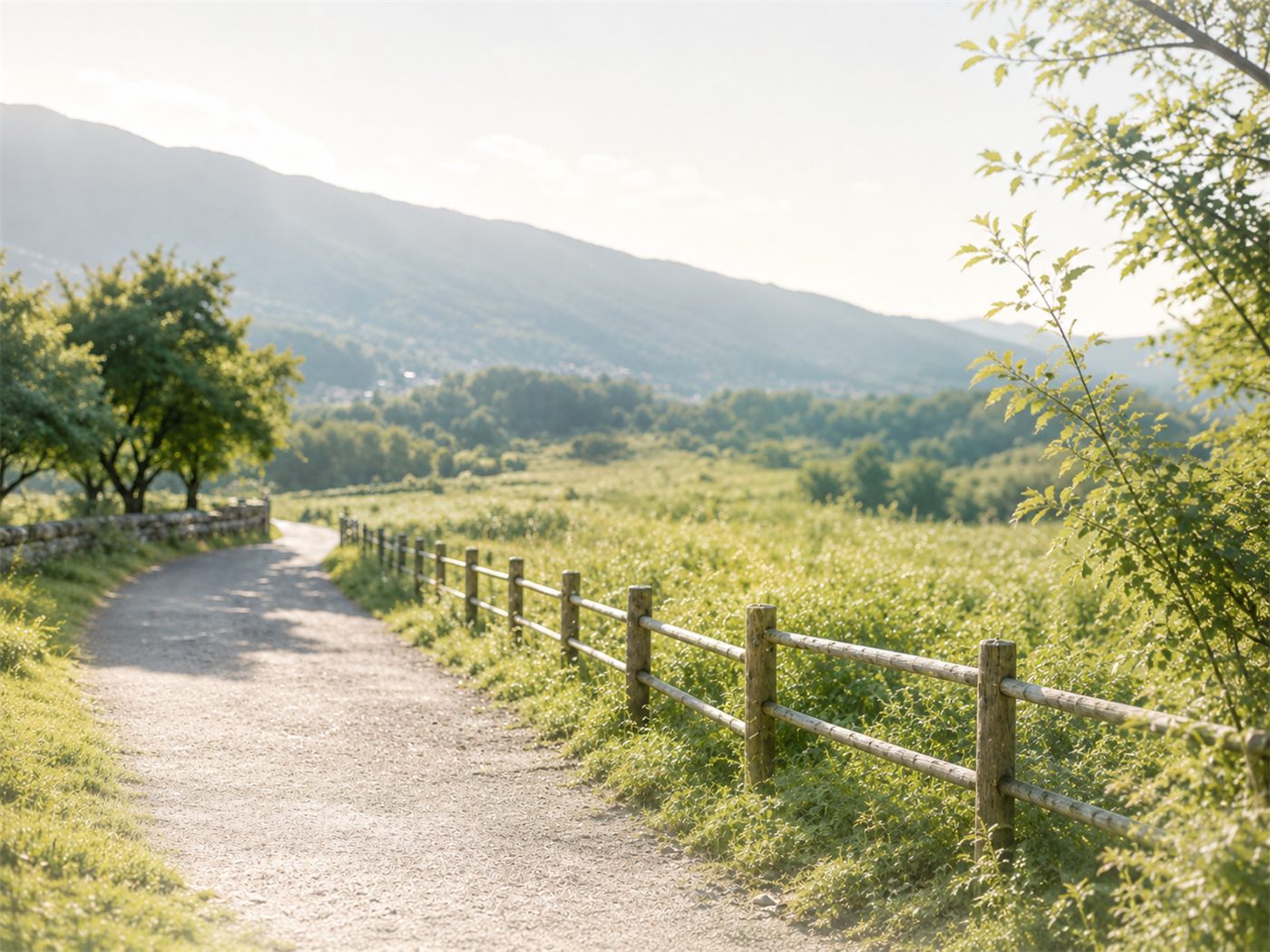 縁側や人物は入らず、自然の中を先へ続いていく明るい散歩道。